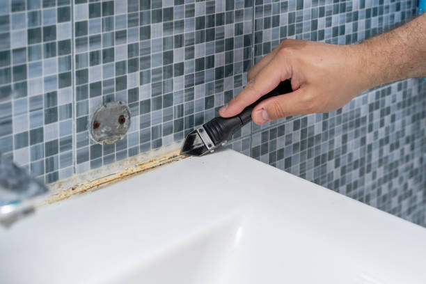 Best Certified Mold Removal  in Pleasant Valley, MO