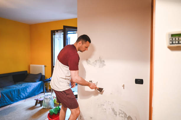 Best Attic Mold Removal  in Pleasant Valley, MO